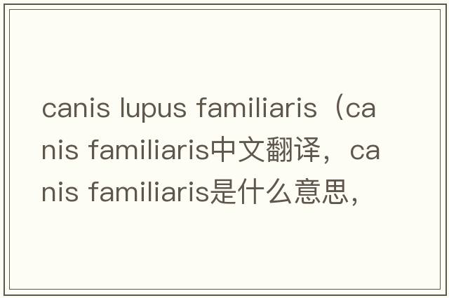 canis lupus familiaris（canis familiaris中文翻譯，canis familiaris是什么意思，canis familiaris發(fā)音、用法及例句）