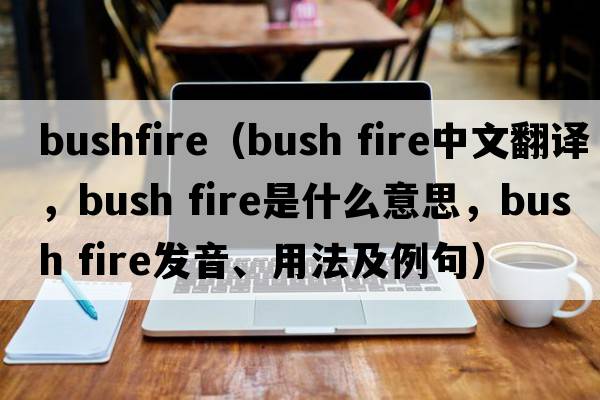 bushfire（bush fire中文翻譯，bush fire是什么意思，bush fire發(fā)音、用法及例句）