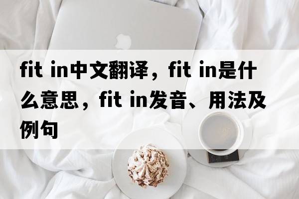 fit in中文翻譯，fit in是什么意思，fit in發(fā)音、用法及例句