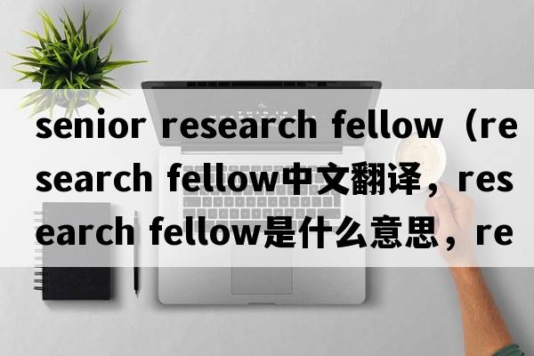 senior research fellow（research fellow中文翻譯，research fellow是什么意思，research fellow發(fā)音、用法及例句）