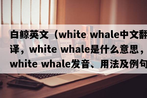 白鯨英文（white whale中文翻譯，white whale是什么意思，white whale發(fā)音、用法及例句）