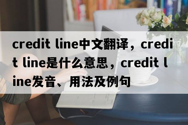 credit line中文翻譯，credit line是什么意思，credit line發(fā)音、用法及例句