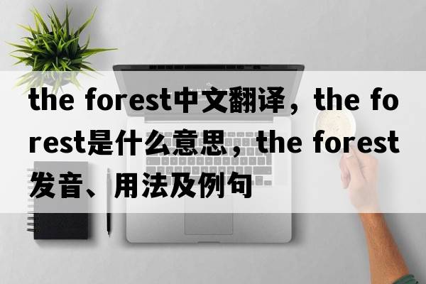 the forest中文翻譯，the forest是什么意思，the forest發(fā)音、用法及例句
