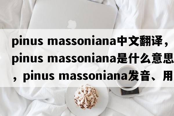 pinus massoniana中文翻譯，pinus massoniana是什么意思，pinus massoniana發(fā)音、用法及例句