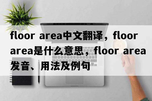 floor area中文翻譯，floor area是什么意思，floor area發(fā)音、用法及例句