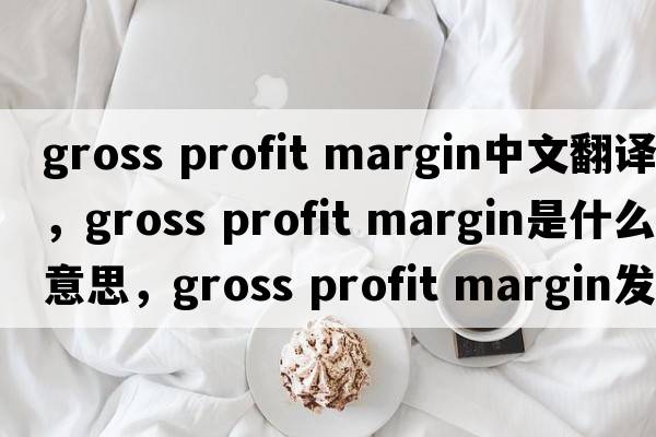 gross profit margin中文翻譯，gross profit margin是什么意思，gross profit margin發(fā)音、用法及例句