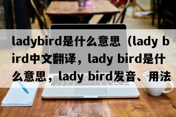 ladybird是什么意思（lady bird中文翻譯，lady bird是什么意思，lady bird發(fā)音、用法及例句）