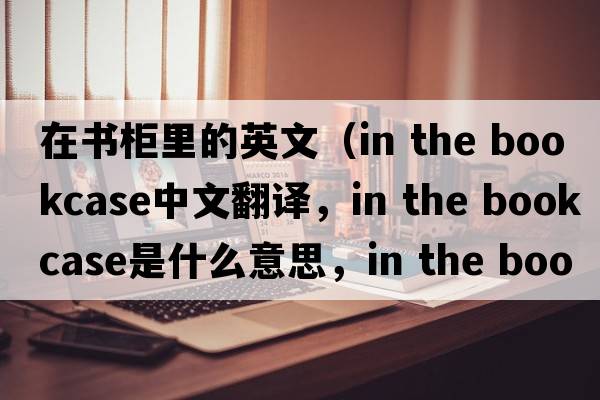 在書(shū)柜里的英文（in the bookcase中文翻譯，in the bookcase是什么意思，in the bookcase發(fā)音、用法及例句）