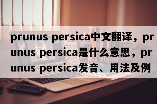 prunus persica中文翻譯，prunus persica是什么意思，prunus persica發(fā)音、用法及例句