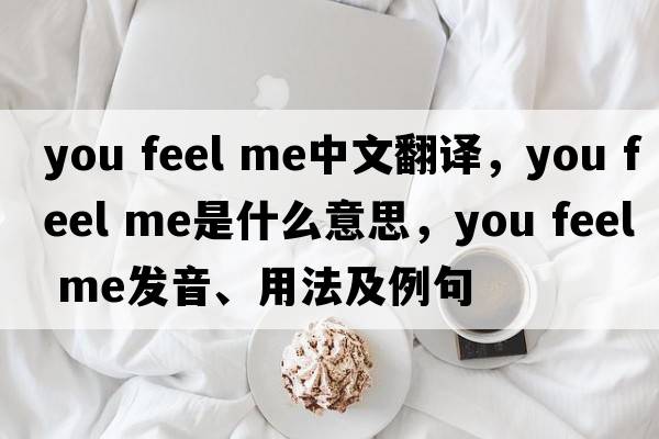 you feel me中文翻譯，you feel me是什么意思，you feel me發(fā)音、用法及例句