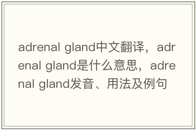 adrenal gland中文翻譯，adrenal gland是什么意思，adrenal gland發(fā)音、用法及例句