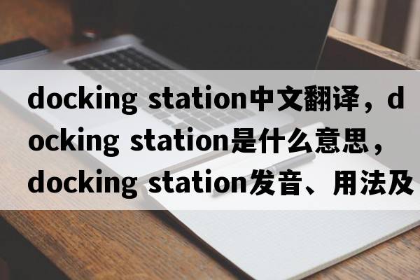 docking station中文翻譯，docking station是什么意思，docking station發(fā)音、用法及例句