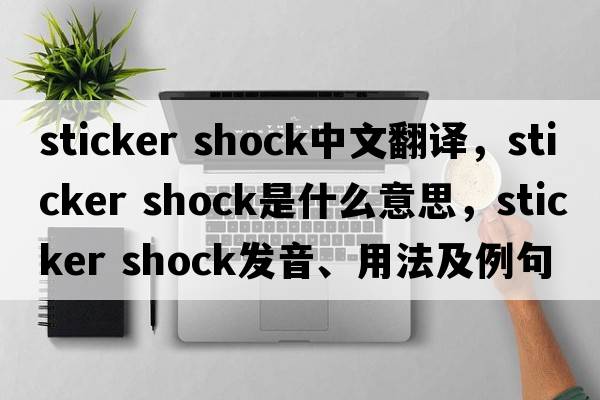 sticker shock中文翻譯，sticker shock是什么意思，sticker shock發(fā)音、用法及例句