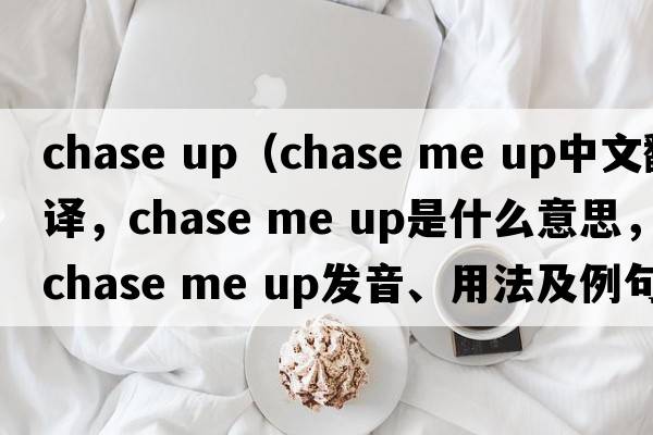 chase up（chase me up中文翻譯，chase me up是什么意思，chase me up發(fā)音、用法及例句）