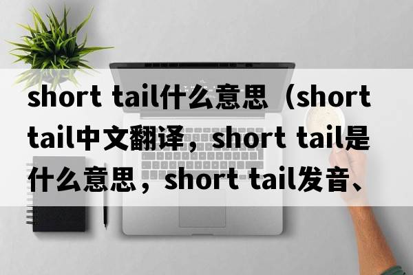 short tail什么意思（short tail中文翻譯，short tail是什么意思，short tail發(fā)音、用法及例句）