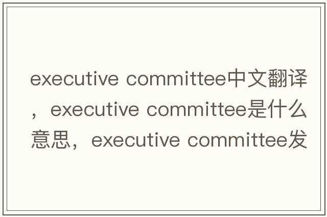 executive committee中文翻譯，executive committee是什么意思，executive committee發(fā)音、用法及例句
