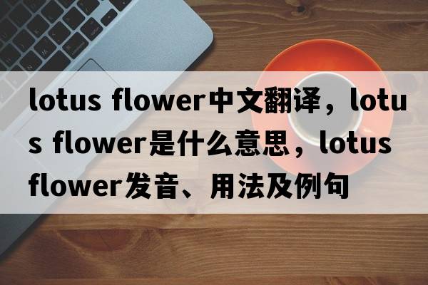 lotus flower中文翻譯，lotus flower是什么意思，lotus flower發(fā)音、用法及例句