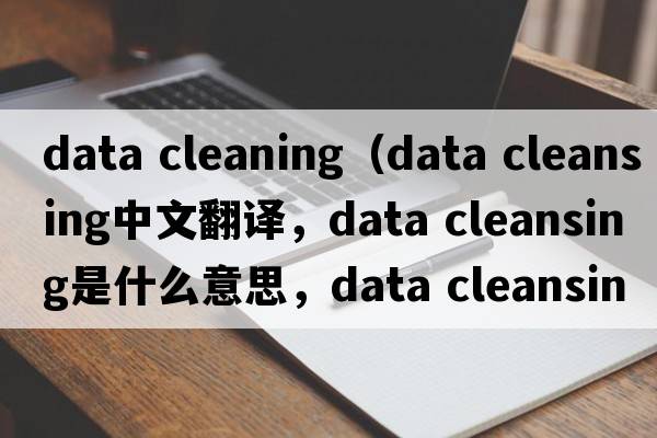 data cleaning（data cleansing中文翻譯，data cleansing是什么意思，data cleansing發(fā)音、用法及例句）