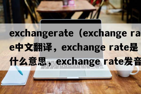 exchangerate（exchange rate中文翻譯，exchange rate是什么意思，exchange rate發(fā)音、用法及例句）