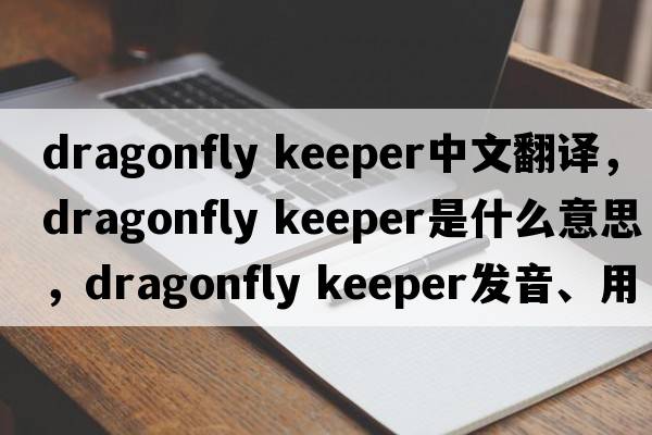 dragonfly keeper中文翻譯，dragonfly keeper是什么意思，dragonfly keeper發(fā)音、用法及例句