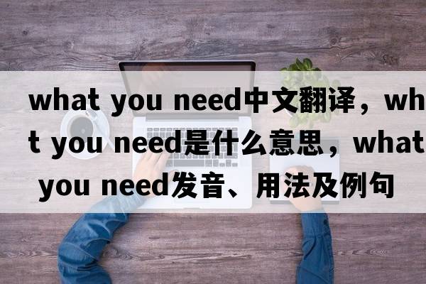 what you need中文翻譯，what you need是什么意思，what you need發(fā)音、用法及例句