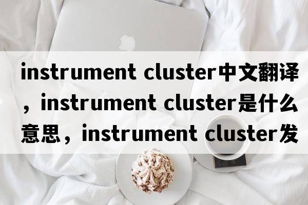 instrument cluster中文翻譯，instrument cluster是什么意思，instrument cluster發(fā)音、用法及例句