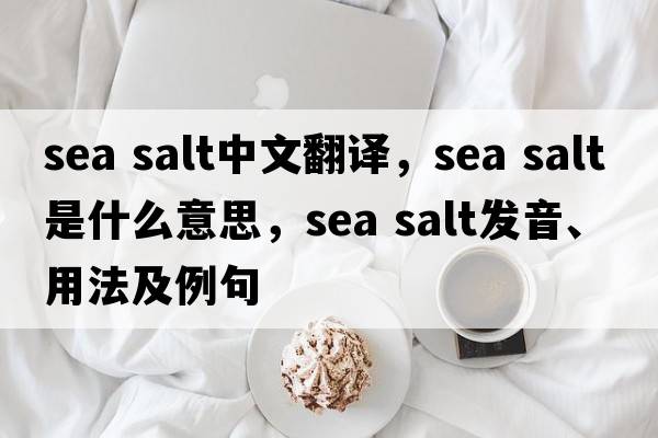 sea salt中文翻譯，sea salt是什么意思，sea salt發(fā)音、用法及例句