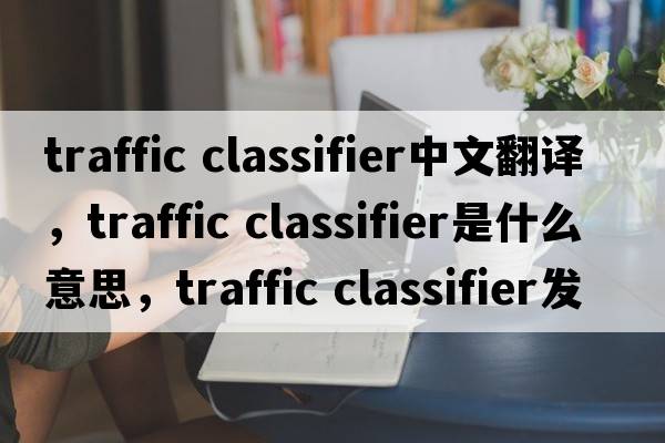traffic classifier中文翻譯，traffic classifier是什么意思，traffic classifier發(fā)音、用法及例句