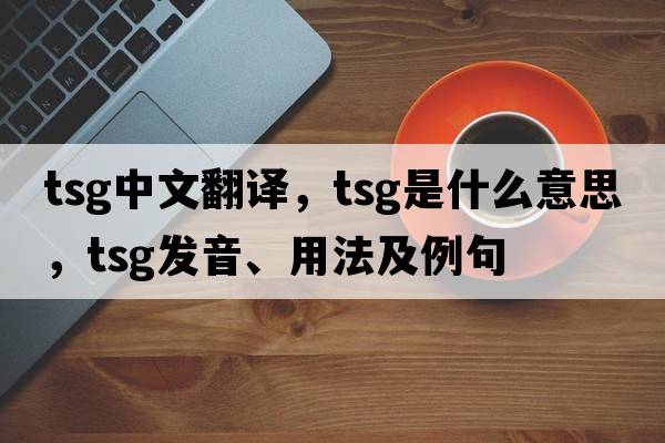 tsg中文翻譯，tsg是什么意思，tsg發(fā)音、用法及例句
