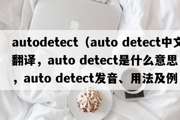 autodetect（auto detect中文翻譯，auto detect是什么意思，auto detect發(fā)音、用法及例句）