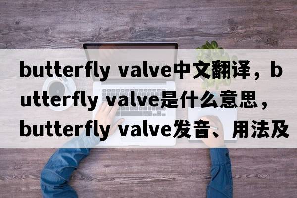butterfly valve中文翻譯，butterfly valve是什么意思，butterfly valve發(fā)音、用法及例句