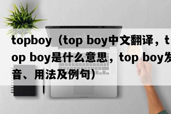 topboy（top boy中文翻譯，top boy是什么意思，top boy發(fā)音、用法及例句）