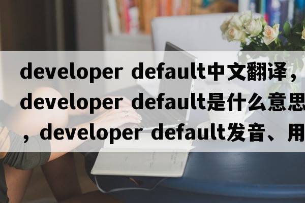 developer default中文翻譯，developer default是什么意思，developer default發(fā)音、用法及例句