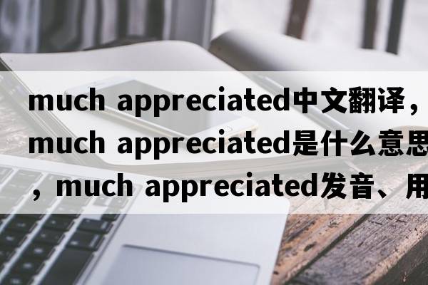 much appreciated中文翻譯，much appreciated是什么意思，much appreciated發(fā)音、用法及例句