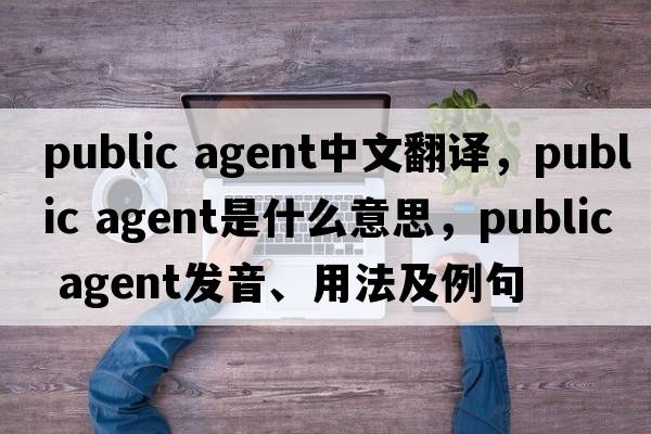 public agent中文翻譯，public agent是什么意思，public agent發(fā)音、用法及例句