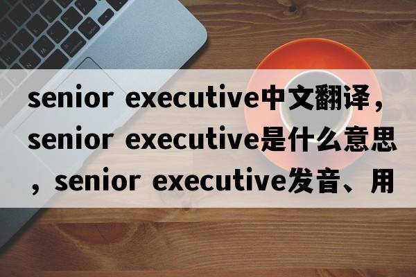 senior executive中文翻譯，senior executive是什么意思，senior executive發(fā)音、用法及例句