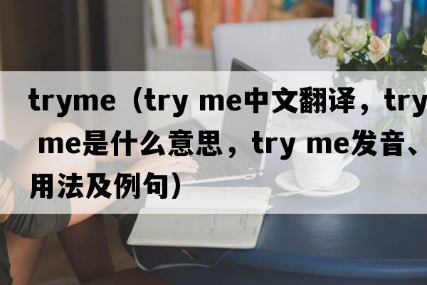 tryme（try me中文翻譯，try me是什么意思，try me發(fā)音、用法及例句）