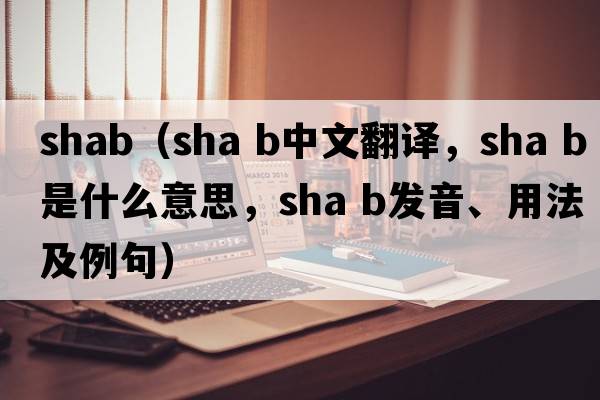 shab（sha b中文翻譯，sha b是什么意思，sha b發(fā)音、用法及例句）