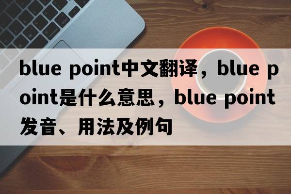 blue point中文翻譯，blue point是什么意思，blue point發(fā)音、用法及例句