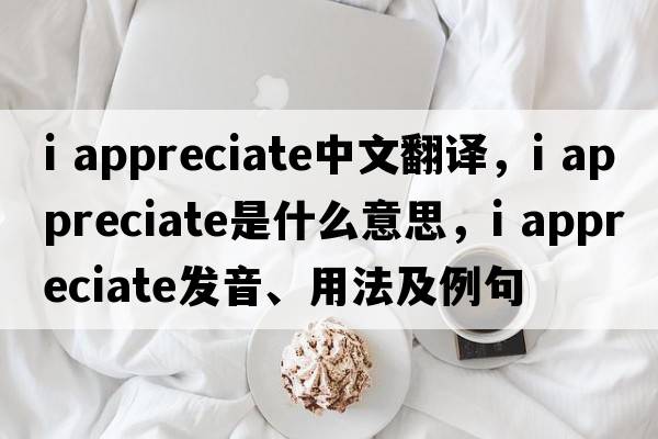 i appreciate中文翻譯，i appreciate是什么意思，i appreciate發(fā)音、用法及例句