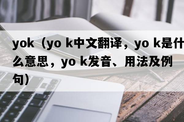 yok（yo k中文翻譯，yo k是什么意思，yo k發(fā)音、用法及例句）