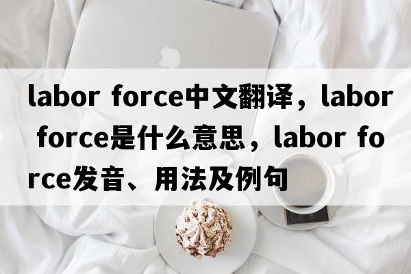 labor force中文翻譯，labor force是什么意思，labor force發(fā)音、用法及例句