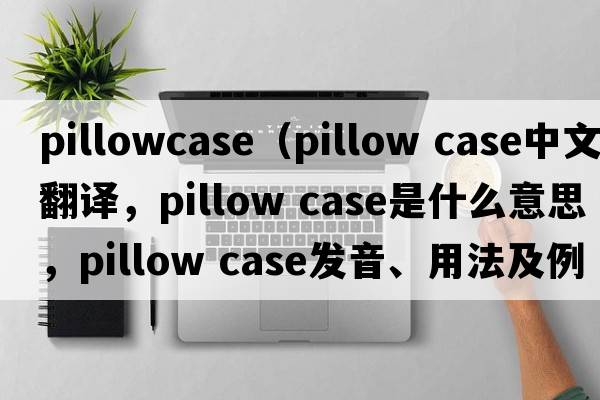 pillowcase（pillow case中文翻譯，pillow case是什么意思，pillow case發(fā)音、用法及例句）