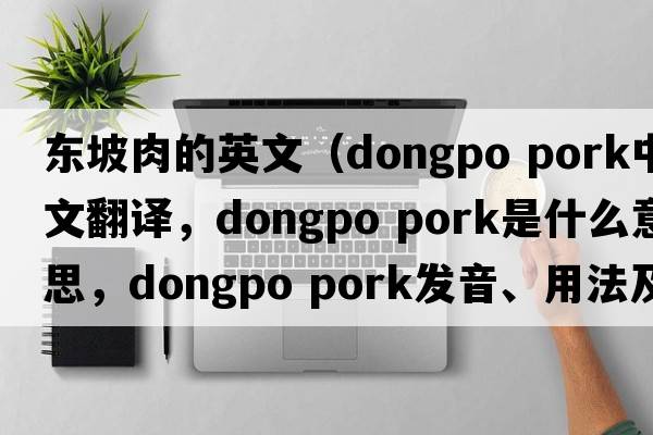 東坡肉的英文（dongpo pork中文翻譯，dongpo pork是什么意思，dongpo pork發(fā)音、用法及例句）