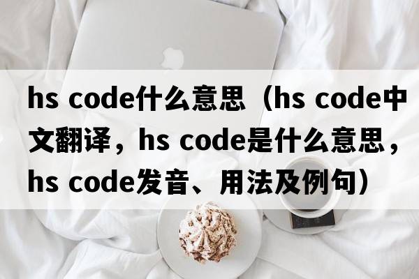 hs code什么意思（hs code中文翻譯，hs code是什么意思，hs code發(fā)音、用法及例句）