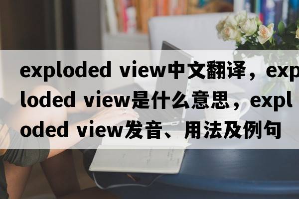 exploded view中文翻譯，exploded view是什么意思，exploded view發(fā)音、用法及例句