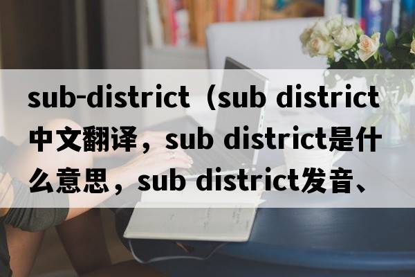 sub-district（sub district中文翻譯，sub district是什么意思，sub district發(fā)音、用法及例句）