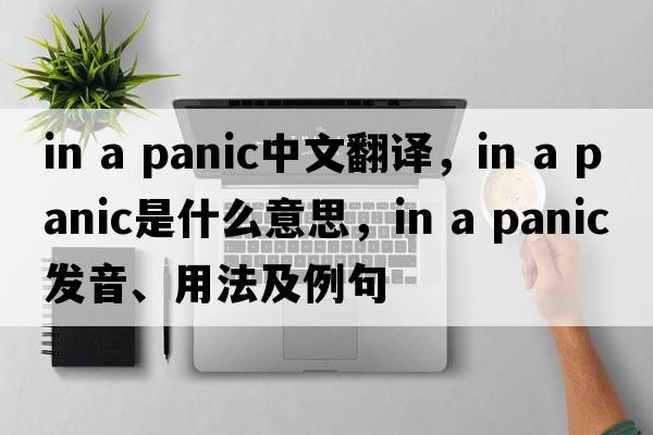 in a panic中文翻譯，in a panic是什么意思，in a panic發(fā)音、用法及例句