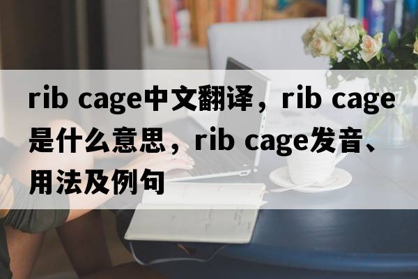rib cage中文翻譯，rib cage是什么意思，rib cage發(fā)音、用法及例句