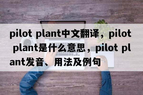 pilot plant中文翻譯，pilot plant是什么意思，pilot plant發(fā)音、用法及例句